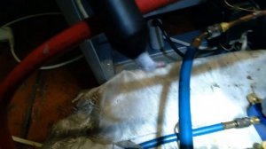 Устранение утечки на Hotpoint Ariston