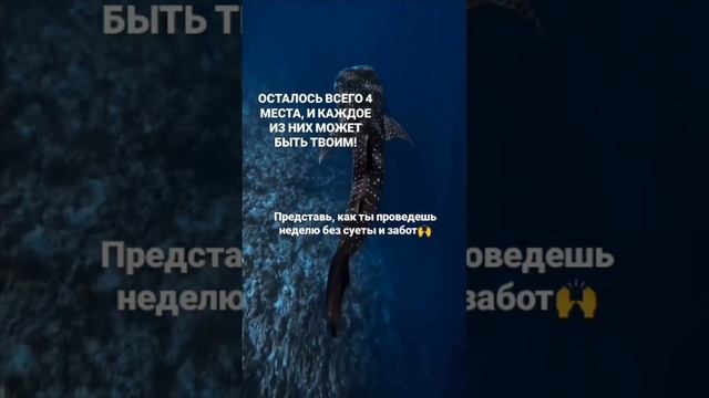 Путешествие по Красному морю