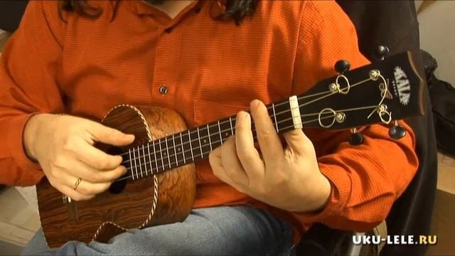 Test Record Ukulele Tenor KALA KA-BFT