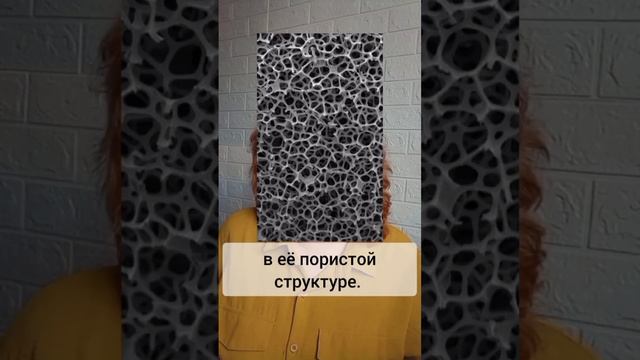 в 200 тыс  раз грязнее крышки унитаза! #хассп #санпин2021 #штраф #еда #кафе #доставка #обучение #РПН