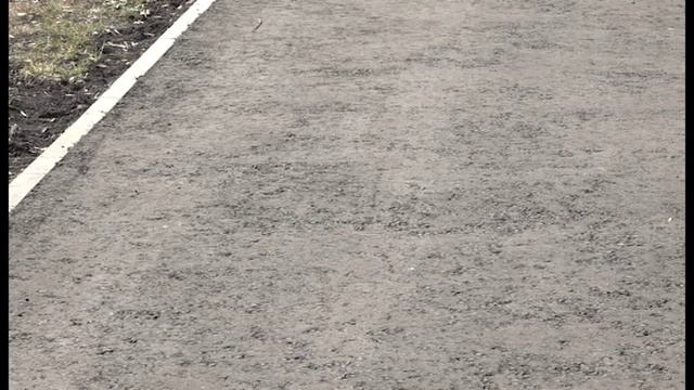 В Заречном качество дорог лучше, чем в большинстве крупных городов России