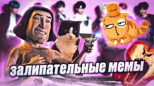 Мемы и мемы #мемы #приколы #лютыеприколы