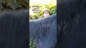 Пуховые изделия Светлана Новохоперск 89507625519