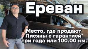 Место, где продают Лисяны с гарантией 3 года