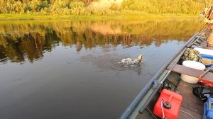 ПОСЛЕДНИЙ ЛЕТНИЙ ВЫЕЗД НА РЫБАЛКУ С НОЧЁВКОЙ \ Часть 2 \ ВЕЧЕРНИЙ СПИННИНГ \ В РЫБАЦКОЙ ИЗБЕ