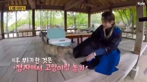 Run BTS. ep. 79