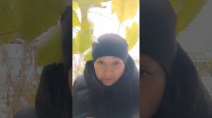 Сколько верёвочке не виться