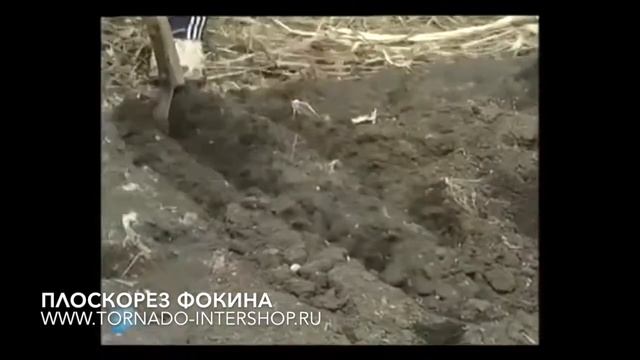 Плоскорез Фокина
