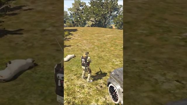 GTA 5 RP ОХОТА смотреть онлайн