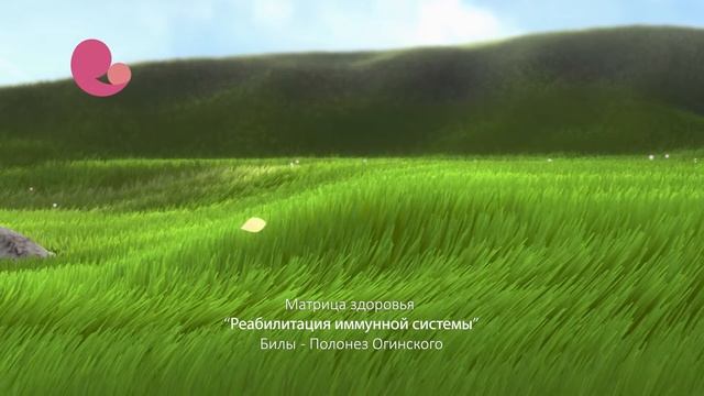 Реабилитация иммунной системы билы полонез Огиского смотреть онлайн