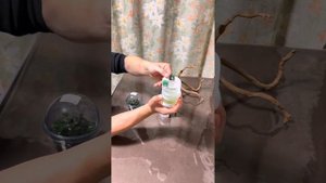 Xiaomi умный аквариум!