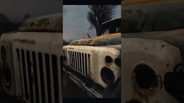 ТЕСТИРУЕМ ППШ 41 против БАНДИТОВ / STALKER CLEAR SKY смотреть онлайн