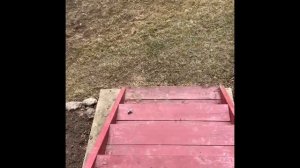 Ароматы ванили или как бороться с запахами навоза