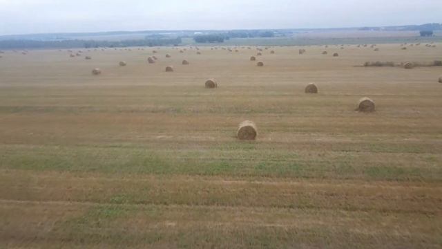 Кричинский сад