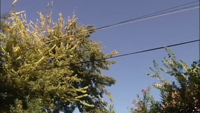 Back up generator смотреть онлайн