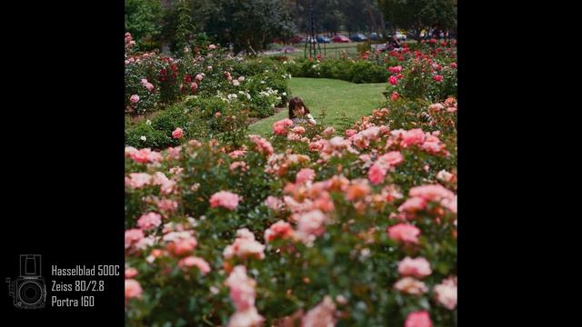 how to use a Hasselblad 500C part 2- make it yours смотреть онлайн