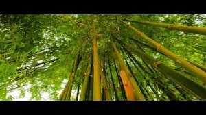 GoPro HERO10 + Kase Anamorphic lens | 5.3K