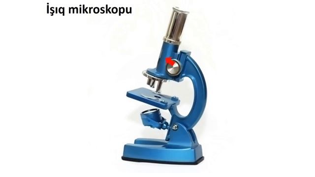 Biologiya 6-cı sinif 6. Laboratoriya avadanlıqları смотреть онлайн