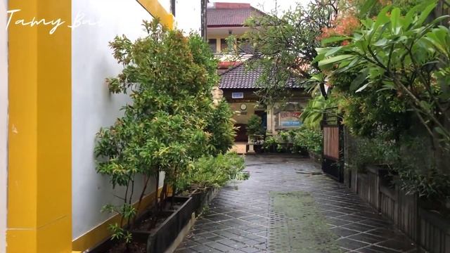 Poppies 2 Current Situation in Last Year, | Bali Update 2022