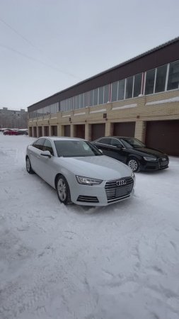 Audi A4 B9 - Авто из Японии, Кореи и Китая. Япония Экспорт Омск