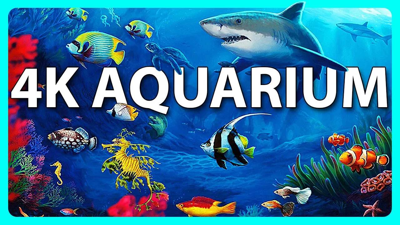 The Best 4K Aquarium for Relaxation Relaxing Oceanscapes Sleep Meditation 4K UHD Screensaver