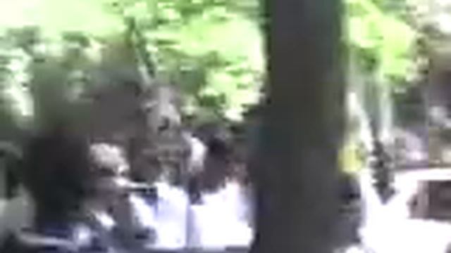 REVOLUCION HUGO J BERMUDEZ Y S.W.A.T смотреть онлайн