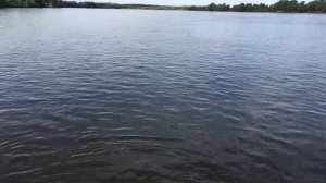 Троллинг щуки и судака на Волге. Успешная рыбалка и отпускание рыбы