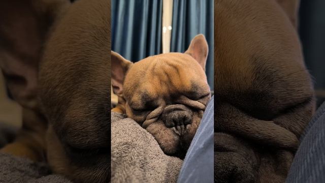 Лайк, если у тебя такая же зависимость ❤ смотреть онлайн