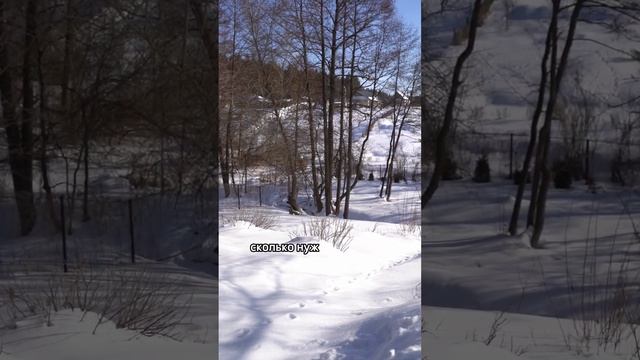 ЦВЕТУЩАЯ ГОРА НА 10 СОТКАХ ВДОЛЬ РУЧЬЯ #идеидлясада