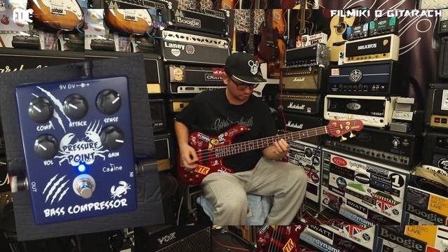 CaLine CP45 Pressure Point Bass Compressor - kompresor do basu - FILMIKI O GITARACH