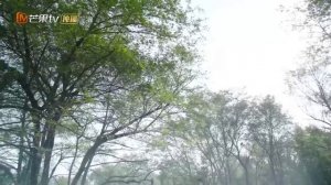 Невеста на одну ночь 2 сезон 18 серия