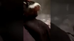 Назму женщины