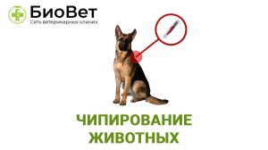 Чипирование