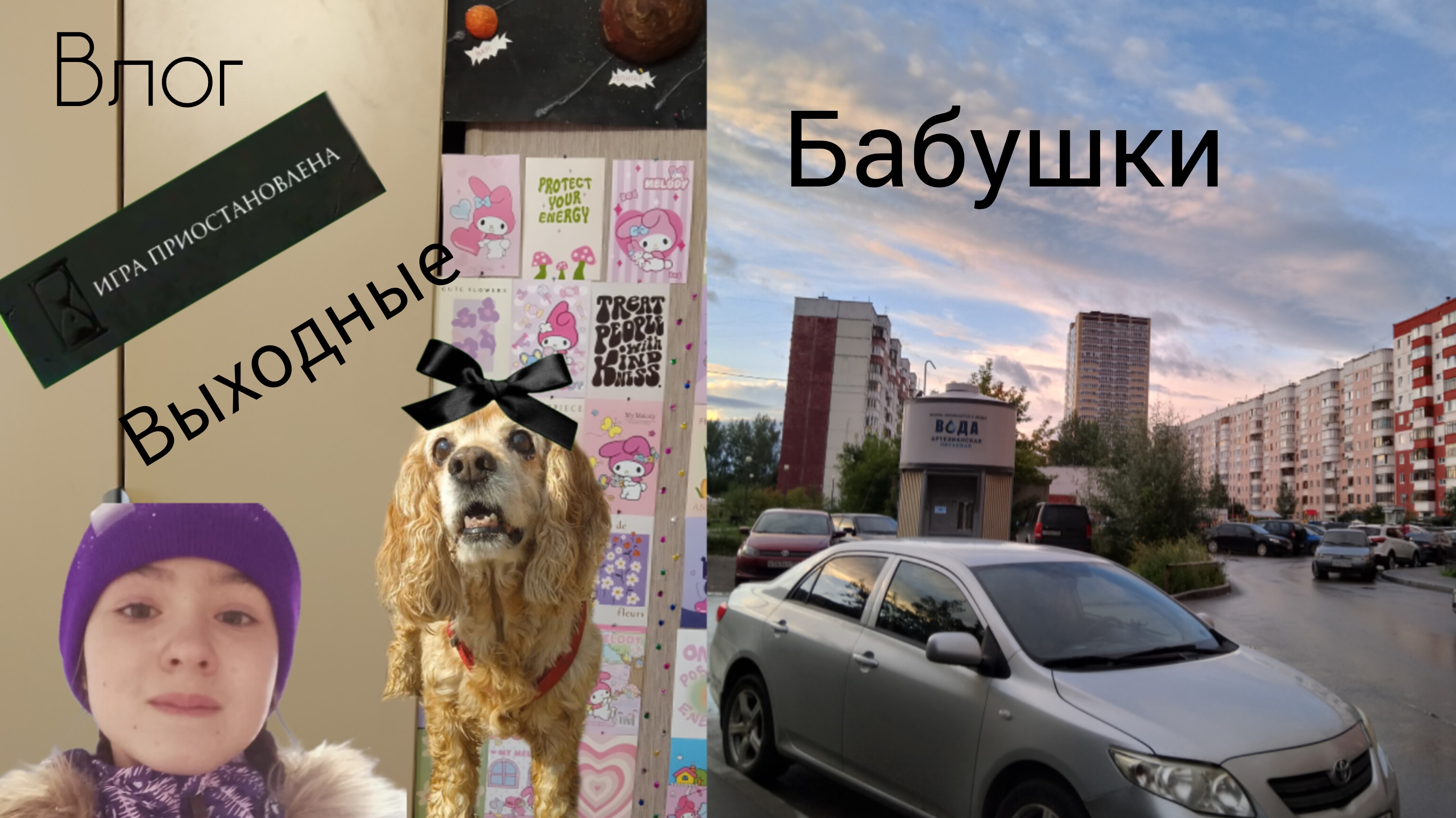 влог два дня у бабушки на выходных