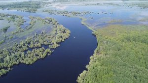 Хорошо у реки