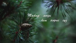 Яшь наратлар. Ильдар Юзеев сузлэре, Ростэм Яхин музыкасы.