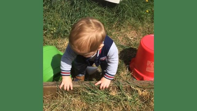 Thomas is a Gardener. A baby boy 1 year 4 months doing gardening! So funny! смотреть онлайн