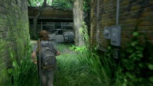 The Last of Us: Part II [Часть 10] В поисках Томми (PlayStation 4)