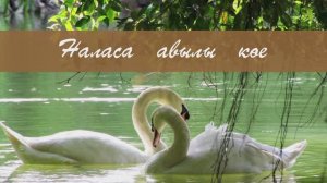 Наласа авылы кое. Жырнын сузлэре видео астында.