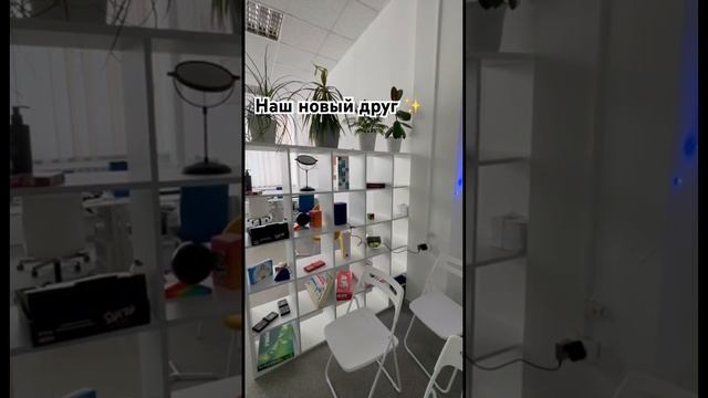 У нас в офисе появился помощник  #маркетинговоеагентство #promorepublic