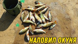 Рыбалка на реке Казым.Наловил окуня.