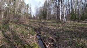 Интересные места в Костромской глуши. Покинутая дер. Якунино. Руины храмов под Чухломой. Мироханово.