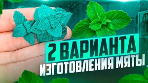 ❤️ 2 варианта лепки МЯТЫ из ПОЛИМЕРНОЙ ГЛИНЫ❤️ Мастер-класс/Урок❤️