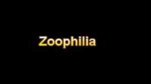 What Is The Definition Of Zoophilia