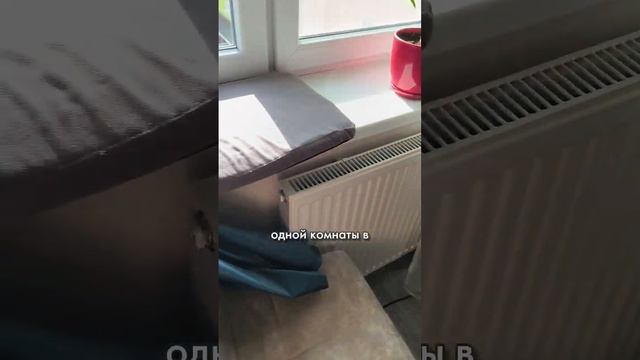 Лучшее место в доме #французскийбульдог #забавныеживотные #видеосбульдогами смотреть онлайн