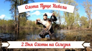 Два дня ОХОТЫ НА СЕЛЕЗНЯ из скрадка! Северное сияние в Самарской области!