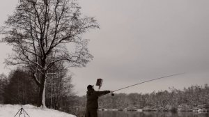 Обзор Zemex Rampage Extreme River Feeder 14'2 ft 200 gr