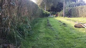 Fitting the Stihl durocut 20-2