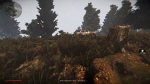 S.T.A.L.K.E.R. Anomaly Expedition 2.3 | Играю в сталкер за одиночек | Новая графика!