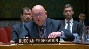 Statement by Amb. Vassily Nebenzia at UNSC Briefing on the Situation in the Middle East